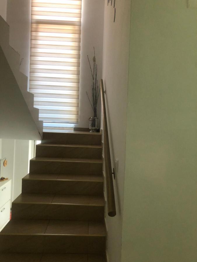 Apartments Dunja ノヴィ・サド エクステリア 写真
